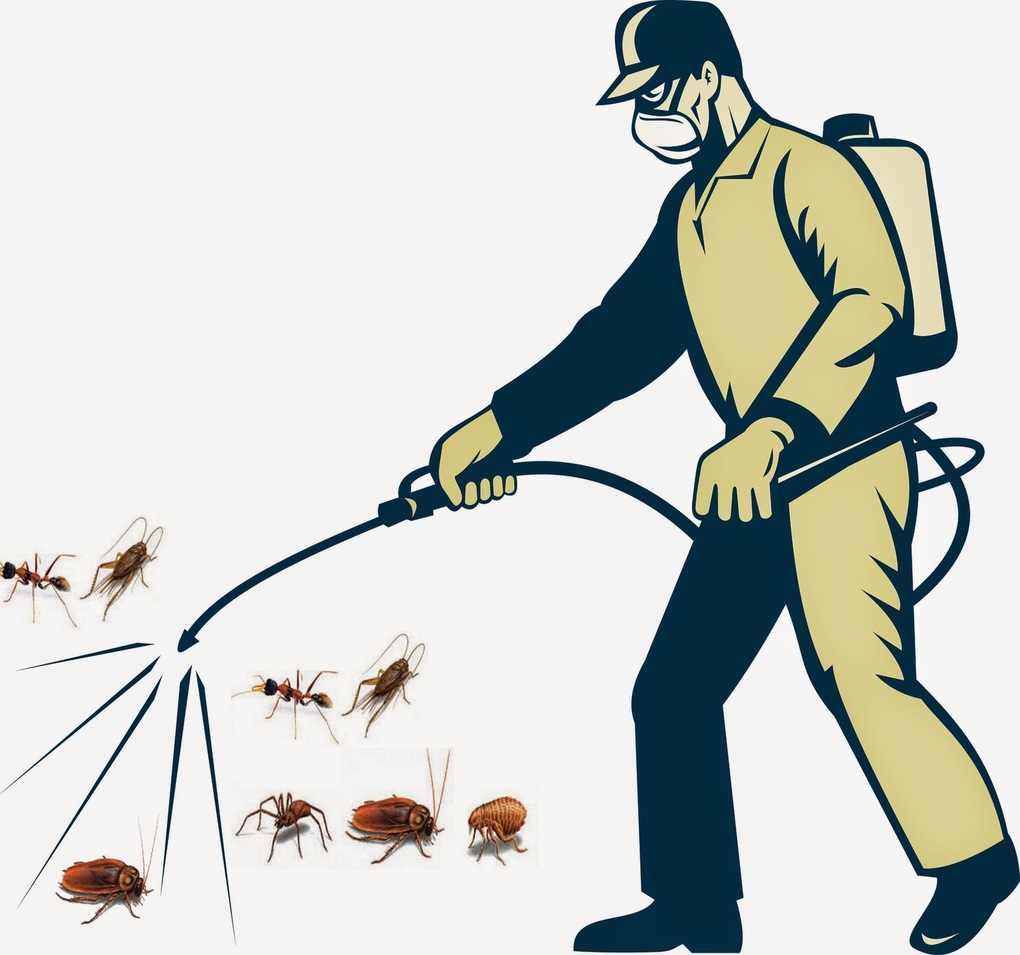 Trường mầm non Thành Công phun thuốc diệt muỗi và côn trùng - phòng chống dịch bệnh